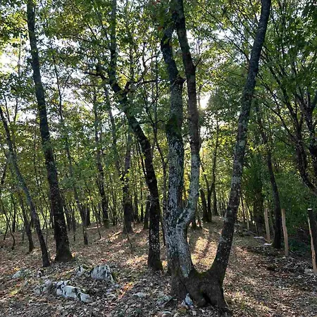 Aria Villa Bosanska Krupa