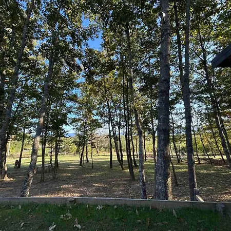 Aria * Bosanska Krupa